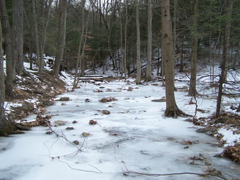 picture taken during a hike