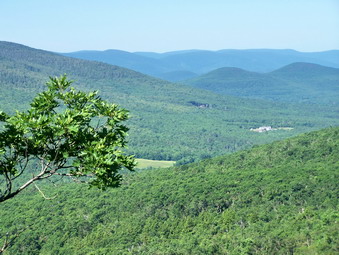 picture taken during a hike