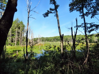 picture taken during a hike