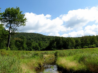 picture taken during a hike