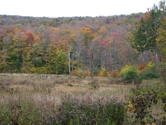 picture taken during a hike