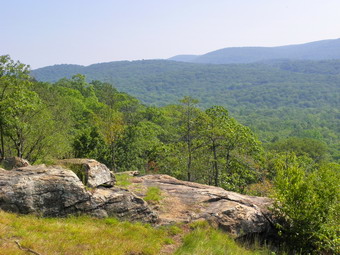 picture taken during a hike