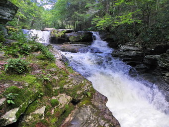 picture taken during a hike