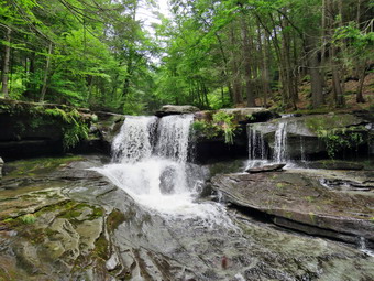 picture taken during a hike