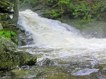 picture taken during a hike