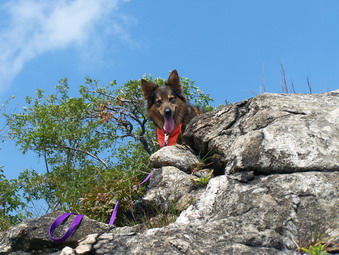 picture taken during a hike