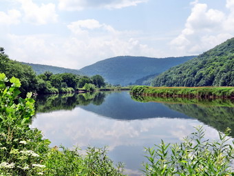 picture taken during a hike