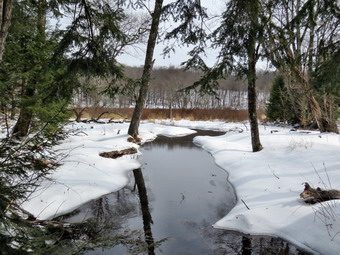 picture taken during a hike