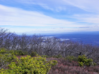 picture taken during a hike