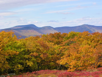 picture taken during a hike