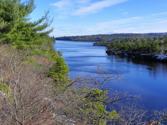 picture taken during a hike