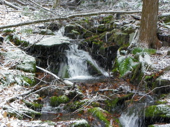 picture taken during a hike