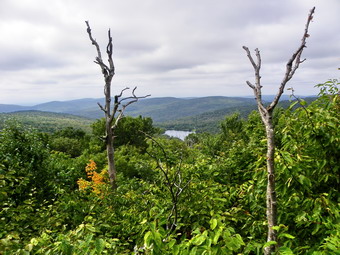 picture taken during a hike