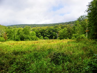 picture taken during a hike