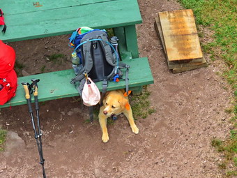 picture taken during a hike