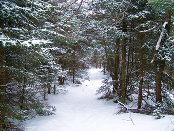 picture taken during a hike