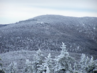 picture taken during a hike