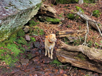 picture taken during a hike