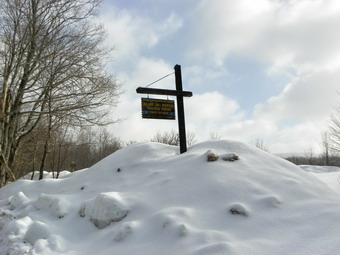 picture taken during a hike