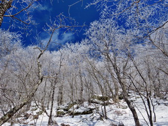 picture taken during a hike