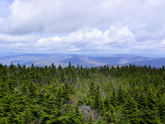 picture taken during a hike