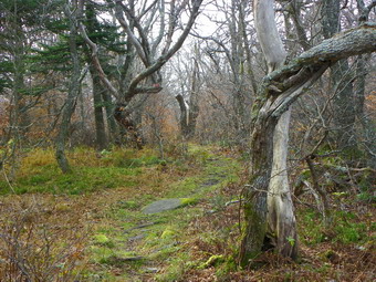 picture taken during a hike