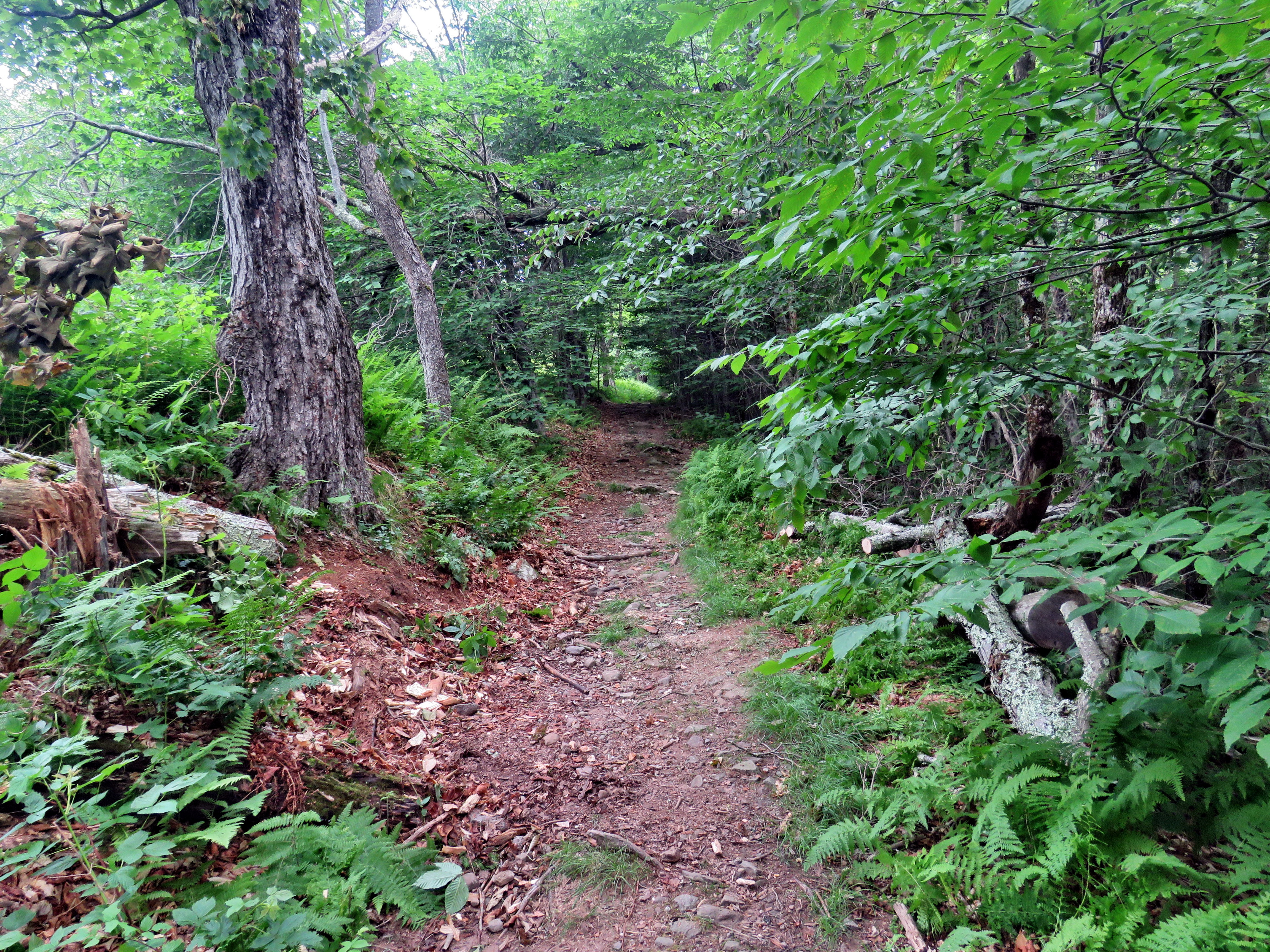 picture taken during a hike