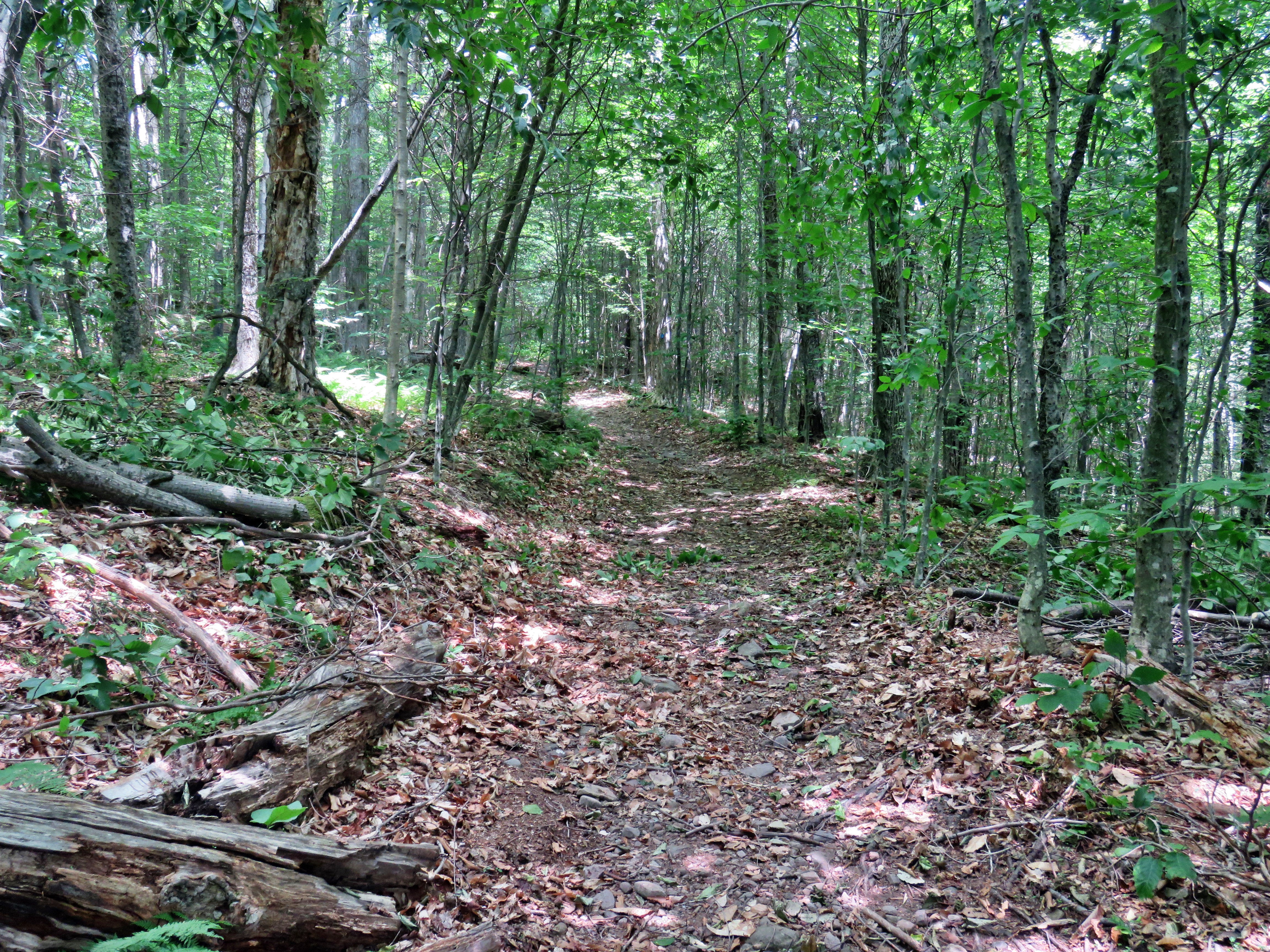 picture taken during a hike