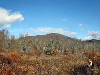 picture taken during a hike