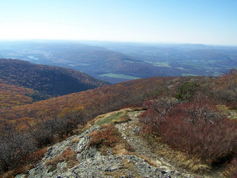 picture taken during a hike