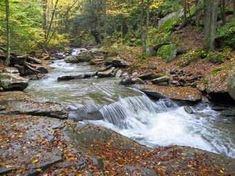 picture taken during a hike