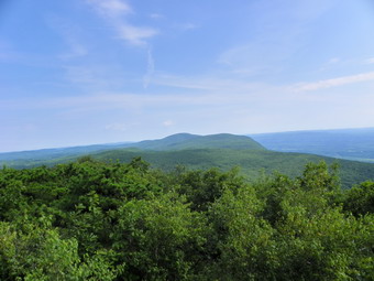 picture taken during a hike