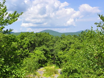 picture taken during a hike