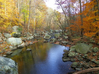 picture taken during a hike