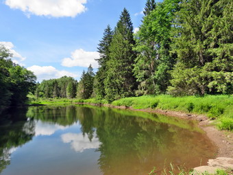 picture taken during a hike