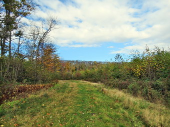 picture taken during a hike