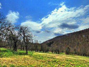 picture taken during a hike