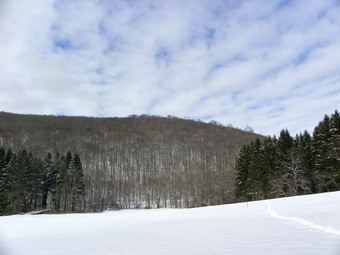 picture taken during a hike