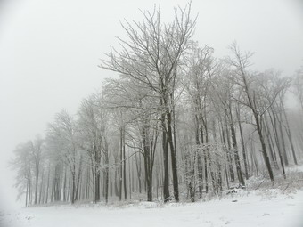 picture taken during a hike