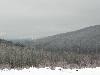 picture taken during a hike