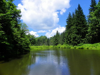 picture taken during a hike