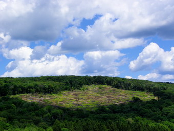 picture taken during a hike