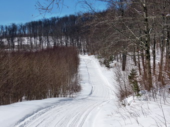 picture taken during a hike