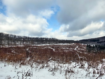 picture taken during a hike