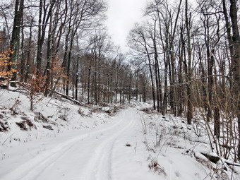 picture taken during a hike