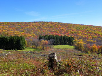 picture taken during a hike