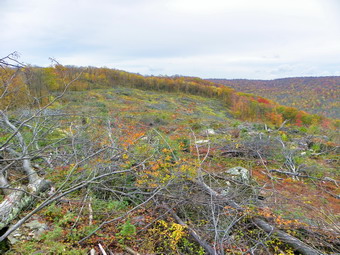 picture taken during a hike