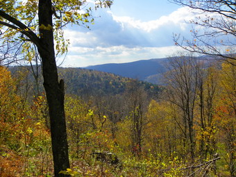 picture taken during a hike