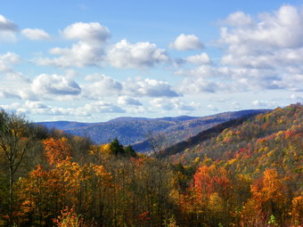 picture taken during a hike