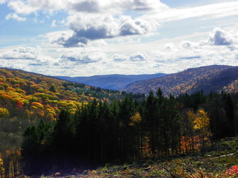 picture taken during a hike